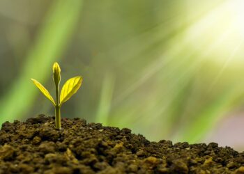 Γίνομαι Coach: ένα ταξίδι εκπαίδευσης, αλλαγής και προσωπικής ανάπτυξης.