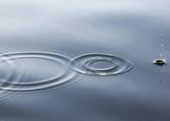 Το Coaching σε λέξεις: Αποδέχομαι, Εστιάζω, Μαθαίνω, Σχεδιάζω, Πράττω.