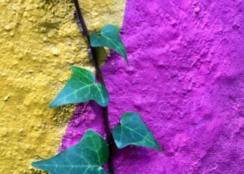 Ψυχική Ανθεκτικότητα : Πώς μπορούμε να εκπαιδεύσουμε τη συγκεκριμένη μας δύναμη.